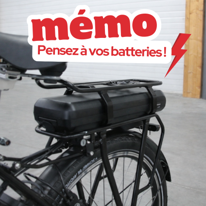 Polaroid Nihola Cargo Family